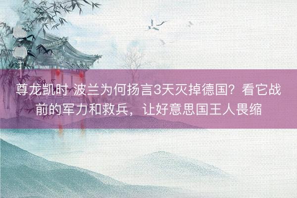 尊龙凯时 波兰为何扬言3天灭掉德国？看它战前的军力和救兵，让好意思国王人畏缩