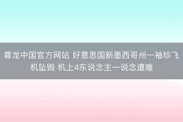 尊龙中国官方网站 好意思国新墨西哥州一袖珍飞机坠毁 机上4东说念主一说念遭难