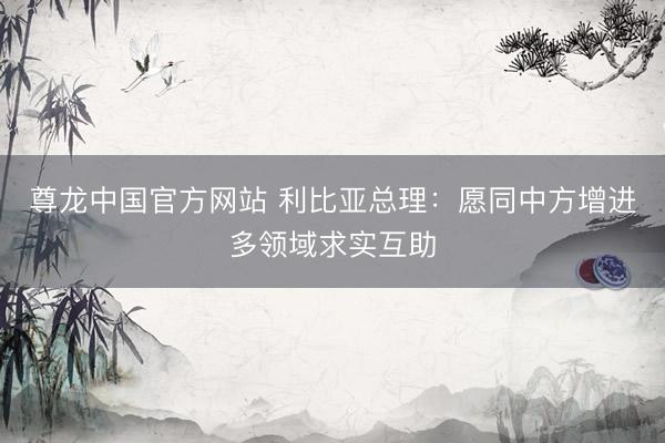 尊龙中国官方网站 利比亚总理：愿同中方增进多领域求实互助