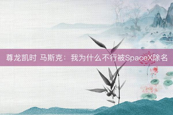 尊龙凯时 马斯克：我为什么不行被SpaceX除名