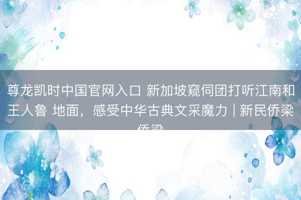 尊龙凯时中国官网入口 新加坡窥伺团打听江南和王人鲁 地面，感受中华古典文采魔力 | 新民侨梁