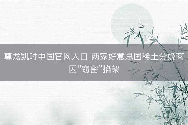 尊龙凯时中国官网入口 两家好意思国稀土分娩商因“窃密”掐架