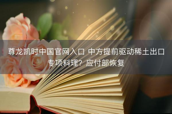 尊龙凯时中国官网入口 中方提前驱动稀土出口专项料理?应付部恢复