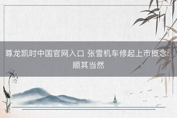 尊龙凯时中国官网入口 张雪机车修起上市概念: 顺其当然