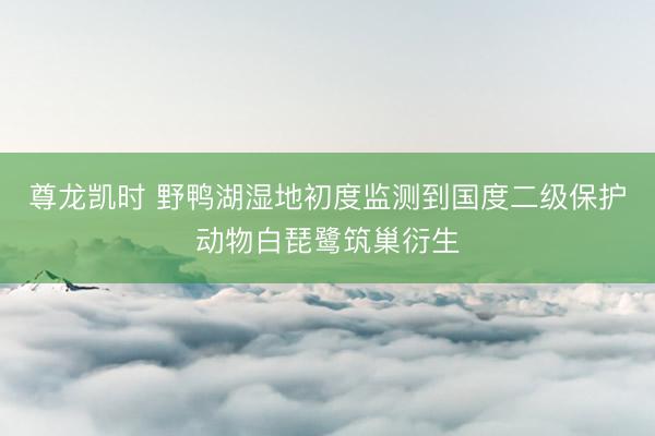 尊龙凯时 野鸭湖湿地初度监测到国度二级保护动物白琵鹭筑巢衍生