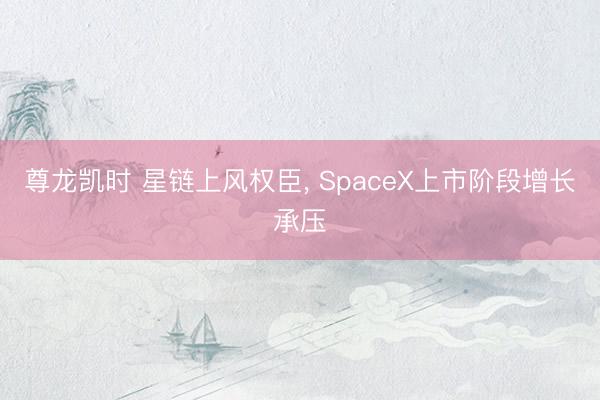 尊龙凯时 星链上风权臣， SpaceX上市阶段增长承压