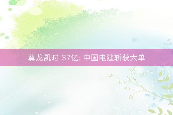 尊龙凯时 37亿: 中国电建斩获大单
