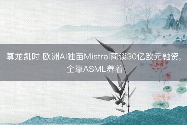 尊龙凯时 欧洲AI独苗Mistral商谈30亿欧元融资, 全靠ASML养着