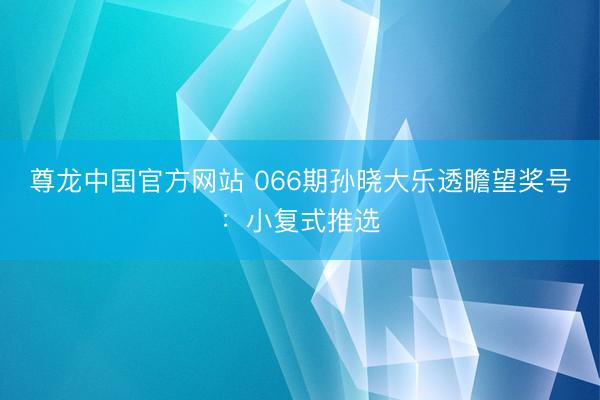 尊龙中国官方网站 066期孙晓大乐透瞻望奖号：小复式推选