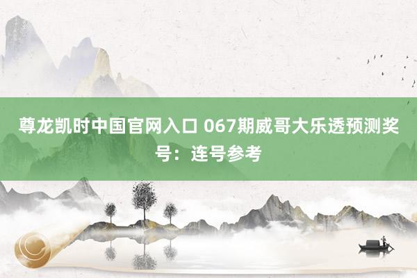尊龙凯时中国官网入口 067期威哥大乐透预测奖号：连号参考