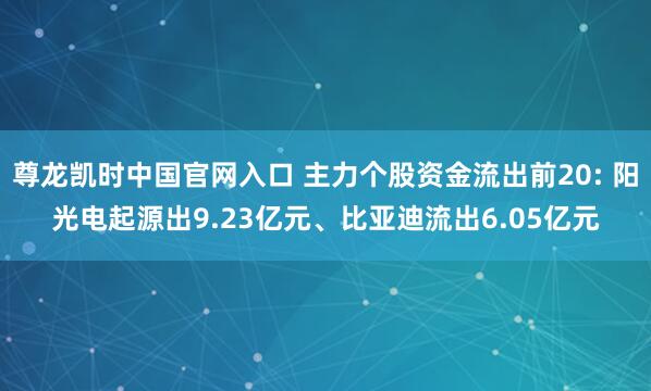 尊龙凯时中国官网入口 主力个股资金流出前20: 阳光电起源出9.23亿元、比亚迪流出6.05亿元