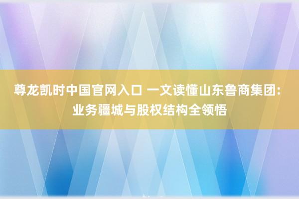 尊龙凯时中国官网入口 一文读懂山东鲁商集团: 业务疆城与股权结构全领悟
