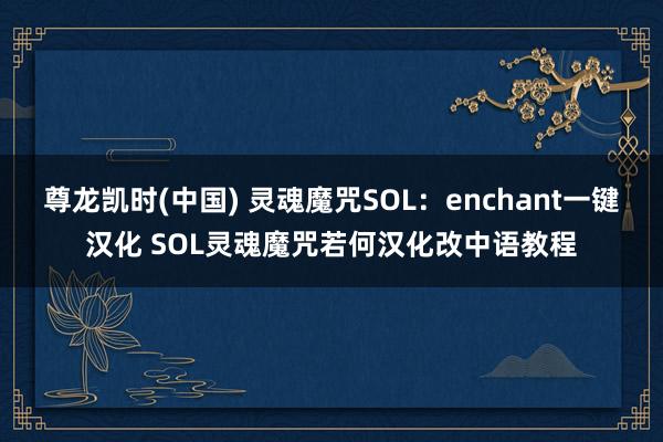 尊龙凯时(中国) 灵魂魔咒SOL：enchant一键汉化 SOL灵魂魔咒若何汉化改中语教程