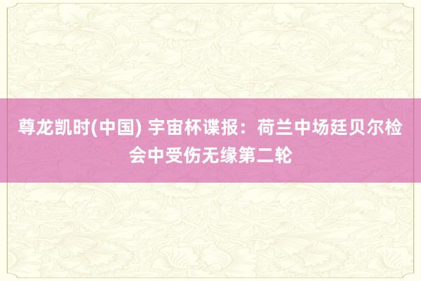 尊龙凯时(中国) 宇宙杯谍报：荷兰中场廷贝尔检会中受伤无缘第二轮