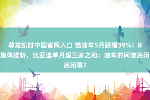 尊龙凯时中国官网入口 燃油车5月跌幅39%!BBA集体腰斩,比亚迪单月超三家之和:油车时间澈底闭幕?